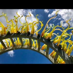 Meet your Posher, Tracey